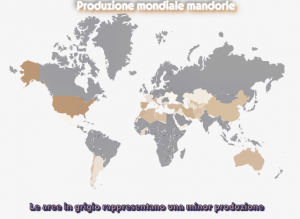 produzionemandorle1